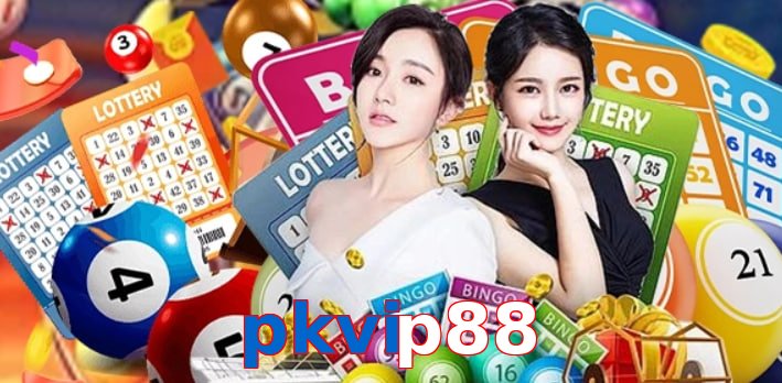 pkvip88